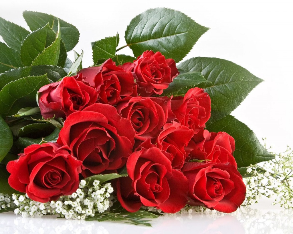 rozy_cvety_krasnye_buket_gipsofil_lezhat_1280x1024.jpg
